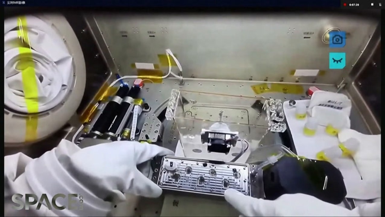 China's Shenzhou 14 Astronauts Growing Plants In Space