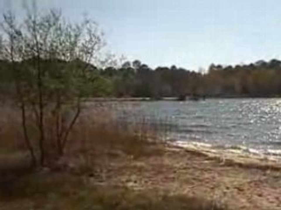 Présentation de notre nouveau projet