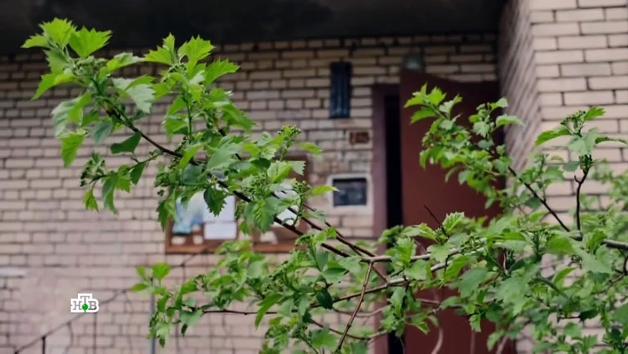 Преторианец 8 серия (2024)