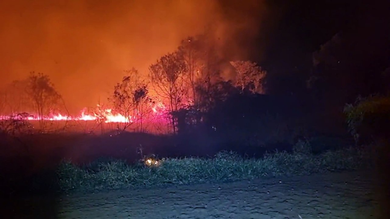 Incêndio devasta 20 mil metros quadrados de mata em área rural de Cascavel