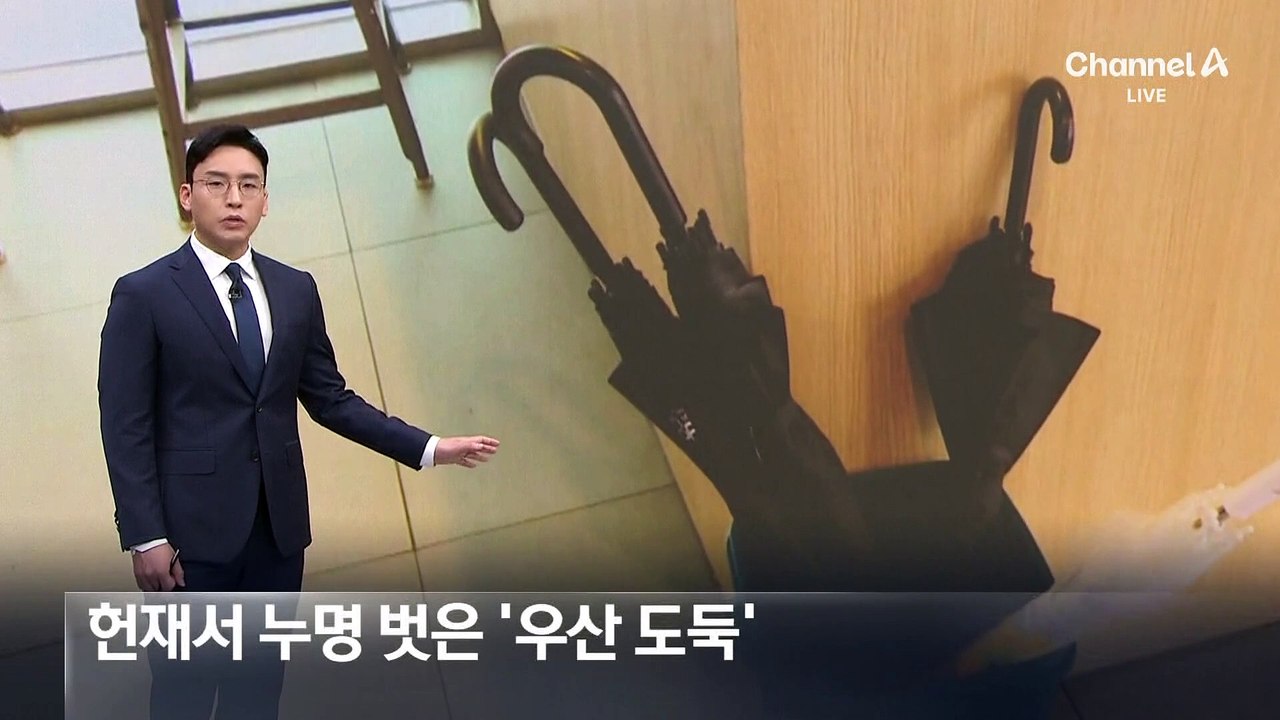 헌재서 누명 벗은 ‘우산 도둑’