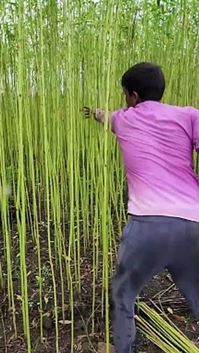Jute bag making process #making #shortsvideo
