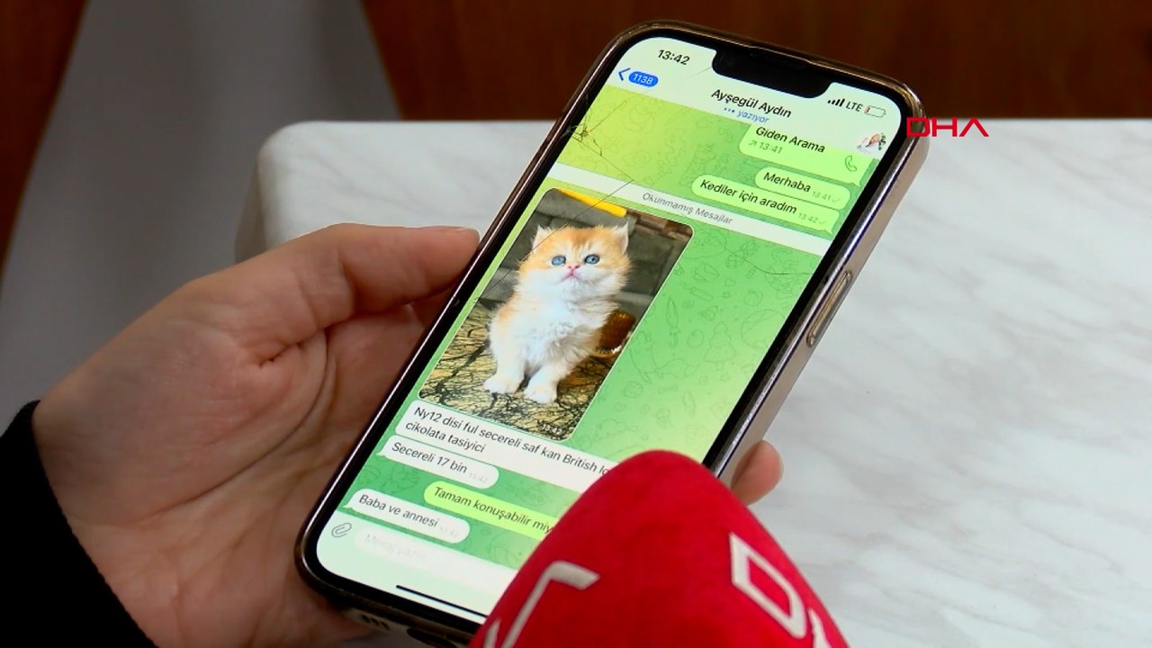 Pet shopta yasaklanan hayvan satışı sosyal medyada arttı