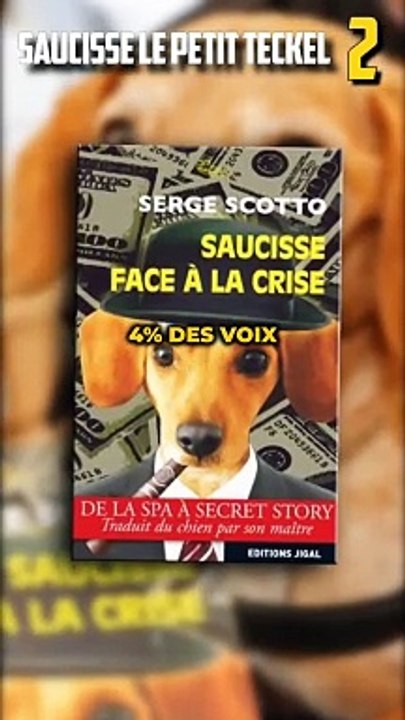 13 INFOS INSOLITES SUR LES CHIENS !