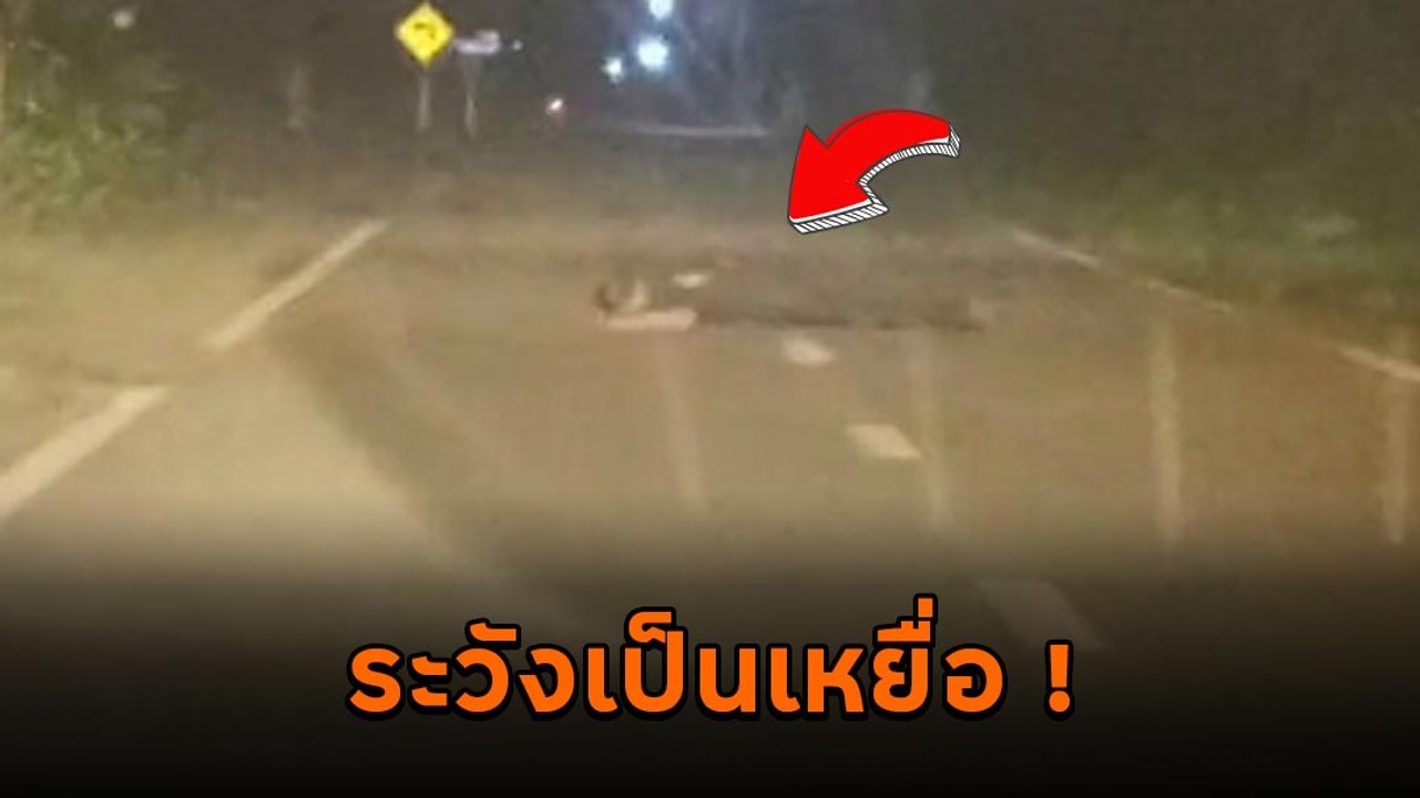เตือนภัย ! ขับรถกลางคืนเจอคนนอนขวางถนน ระวังเป็นมิจฉาชีพ