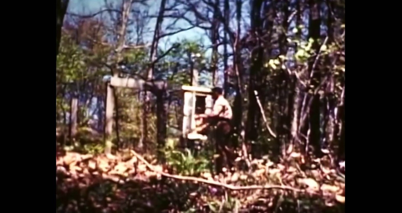 Climate The Movie (The Cold Truth)