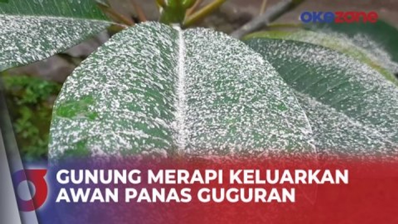 Gunung Merapi Keluarkan Awan Panas Guguran, 7 Desa di Magelang Terkena Hujan Abu