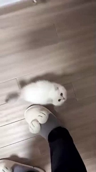 You're going to work take me with you