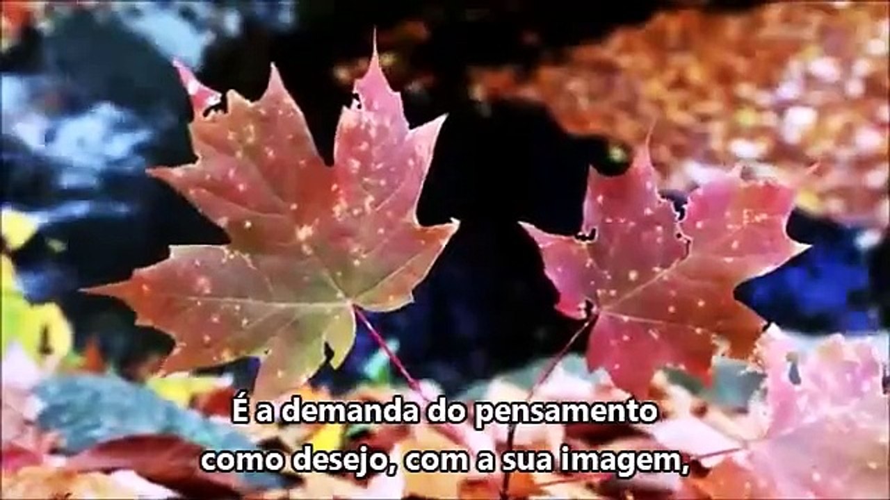 O que é o amor? - 2