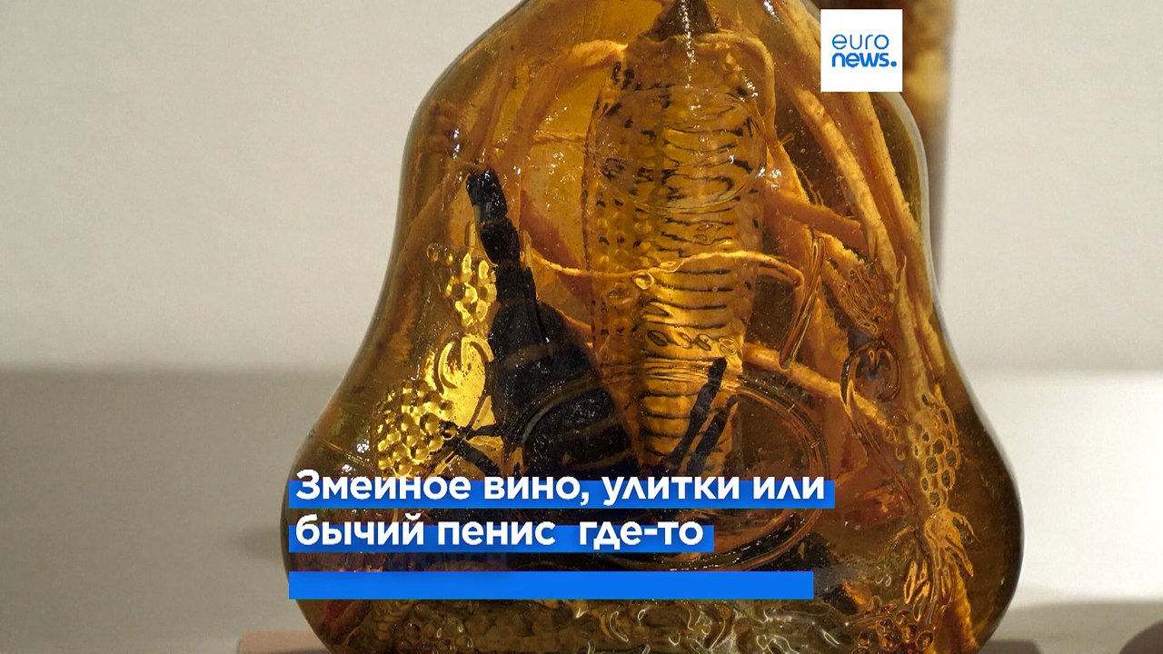 "Музей отвратительной еды" предлагает деликатесы