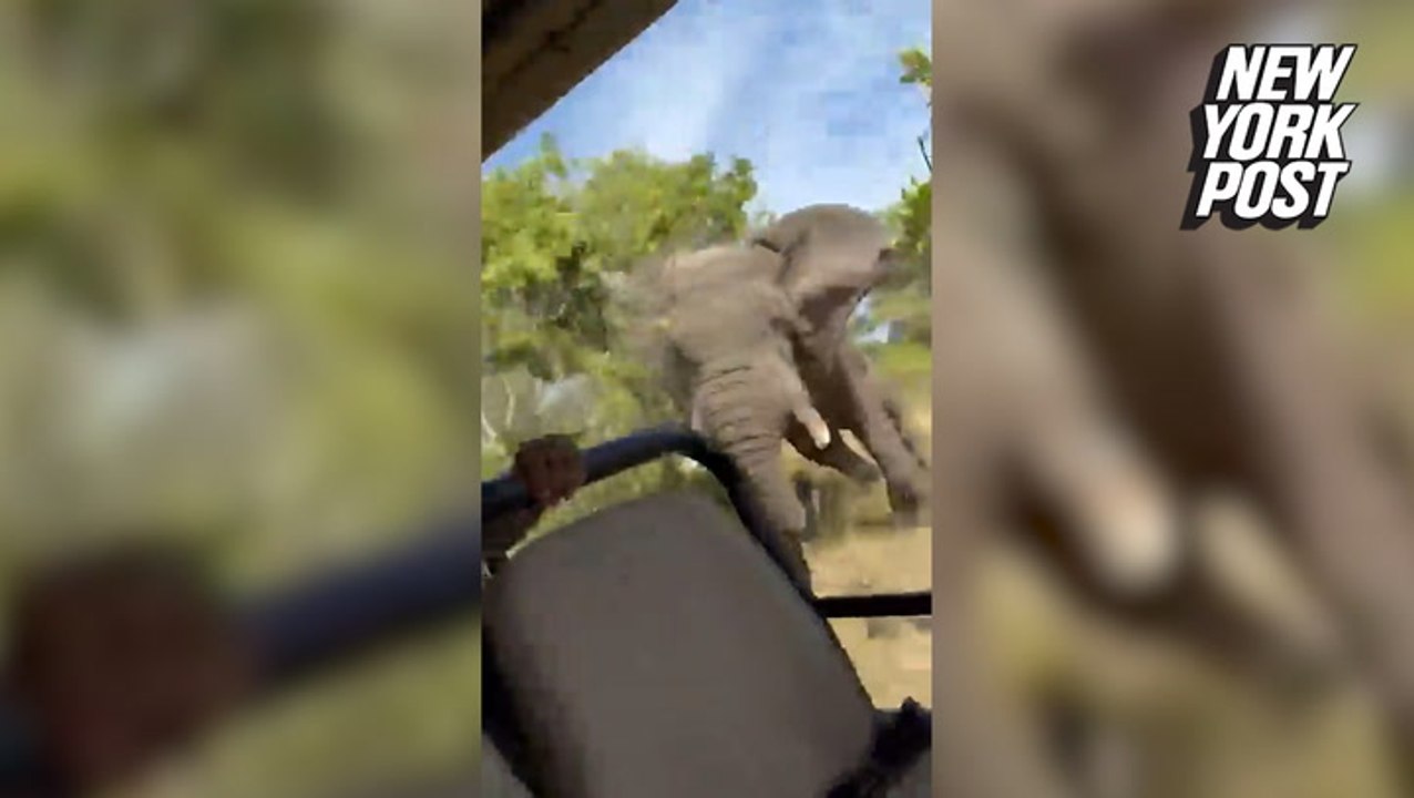 Elephant attacks safari truck killing American tourist