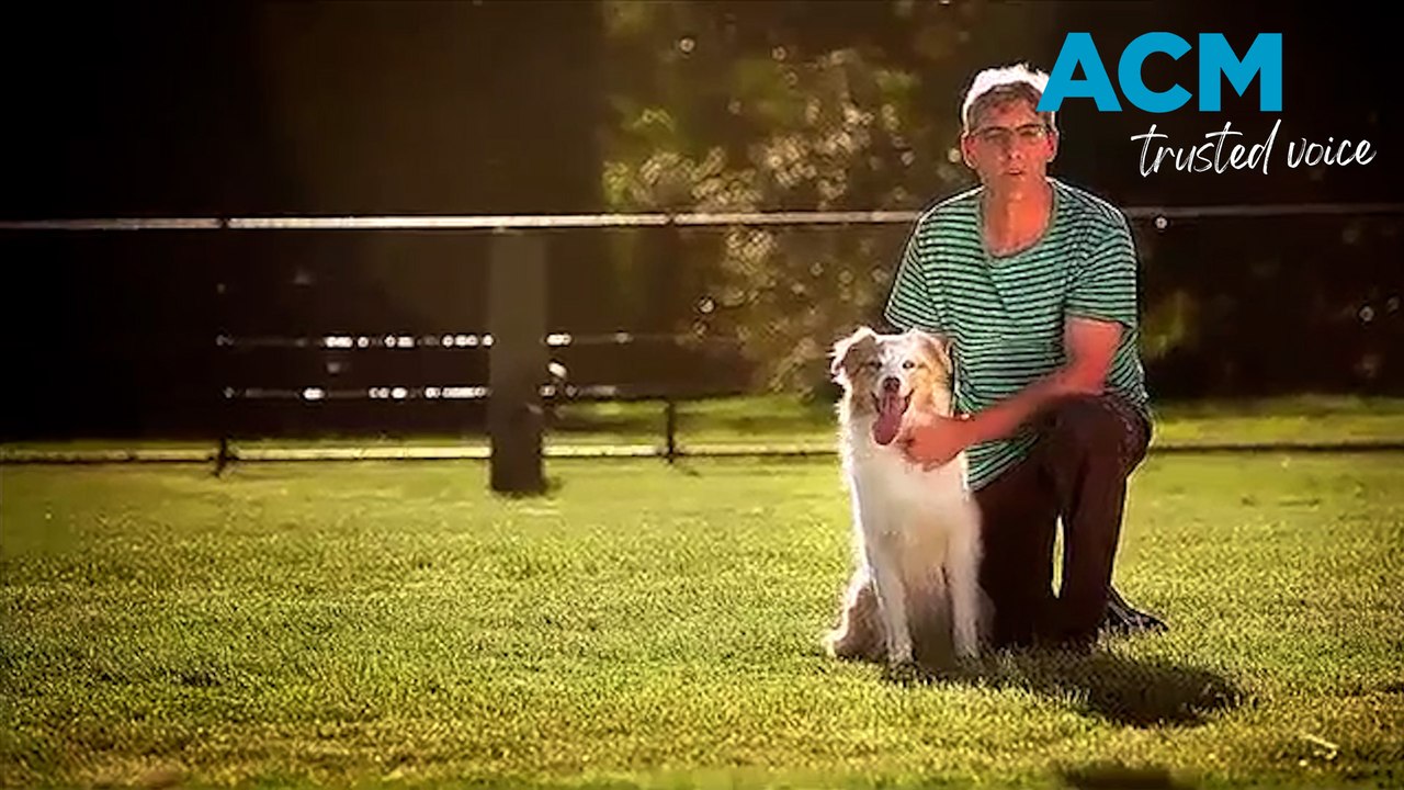 Pet owners warned after deadly virus outbreak