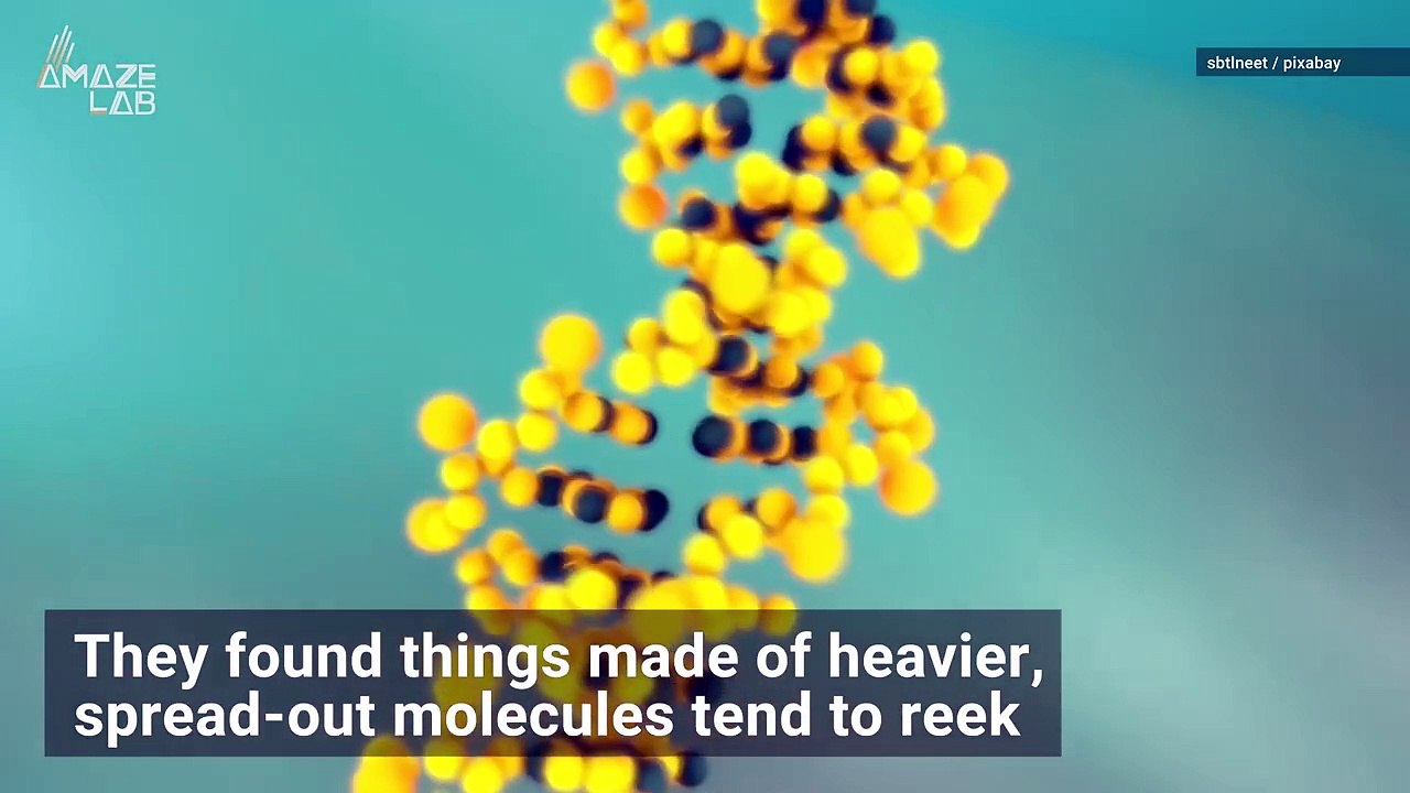 Science Reveals The Worst Smells in the World!