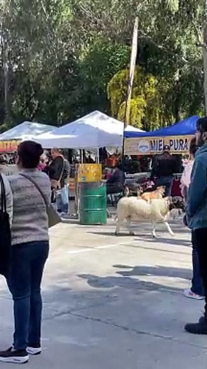 Imagínate vivir en Europa