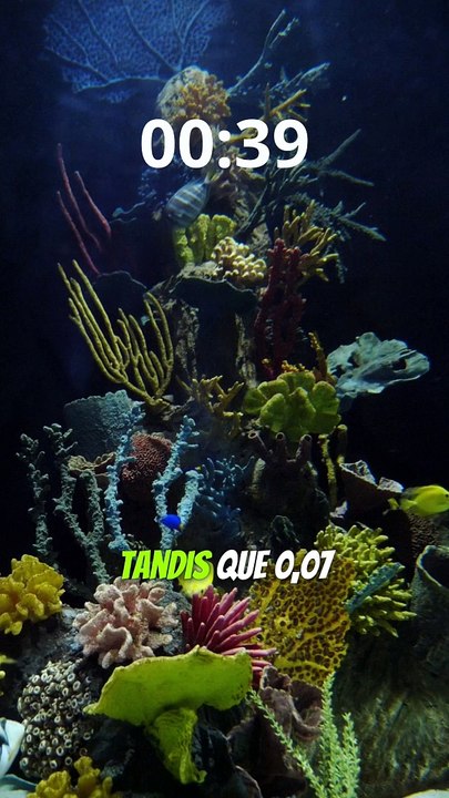 Que se passe-t-il en une minute? 