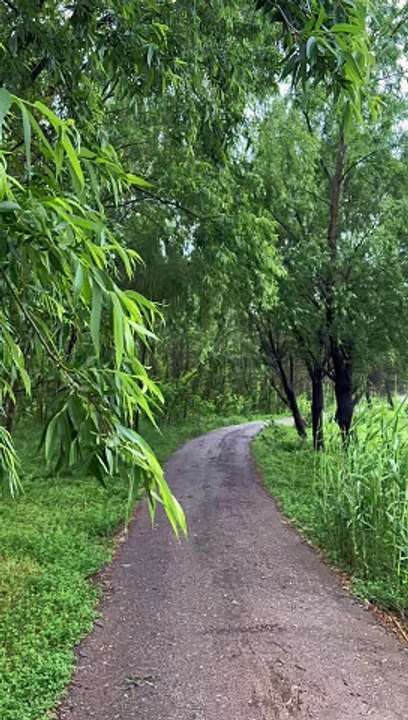 What Is the End of the Road? Discover Its Meaning 🚶‍♂️