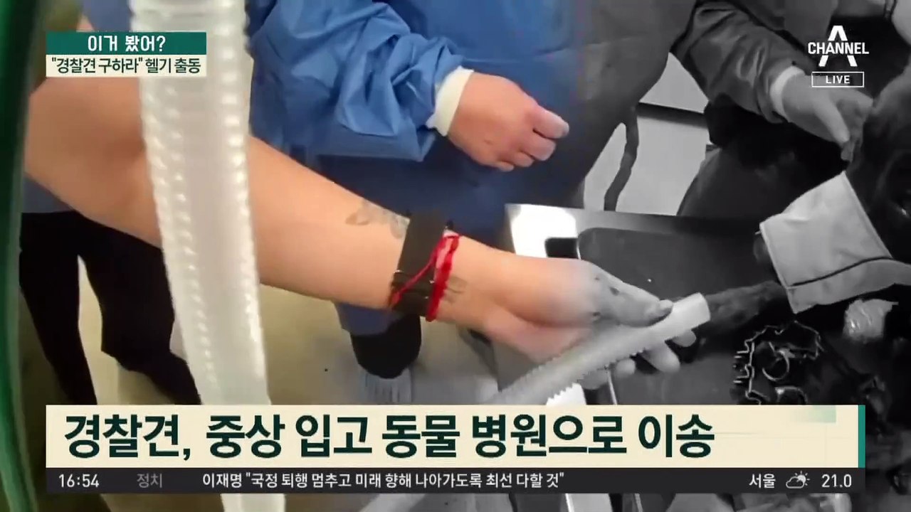 “경찰견 구하라”…헬기 출동 작전