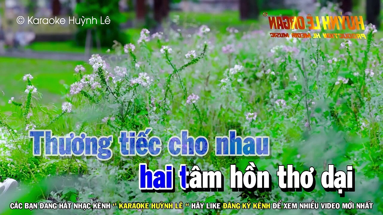 Karaoke Liên Khúc Trữ Tình Tone Nam Dễ Hát Toàn Bài Hay