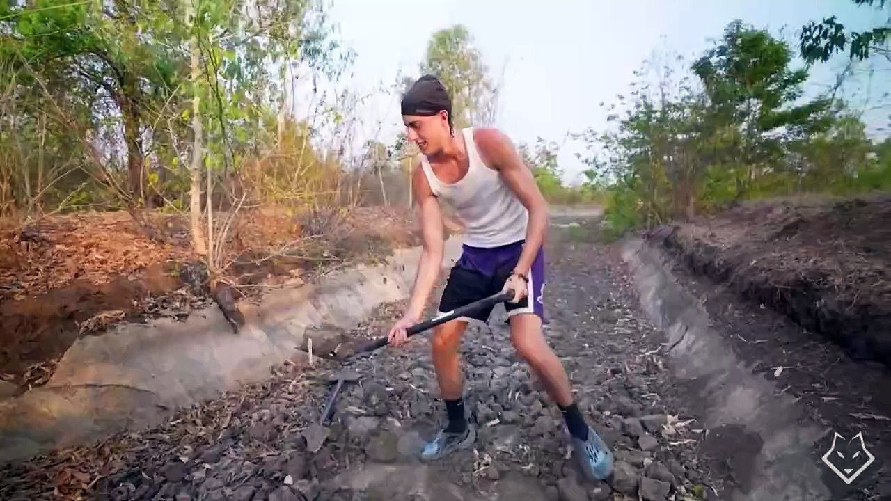 Plex y su tributo a Cars