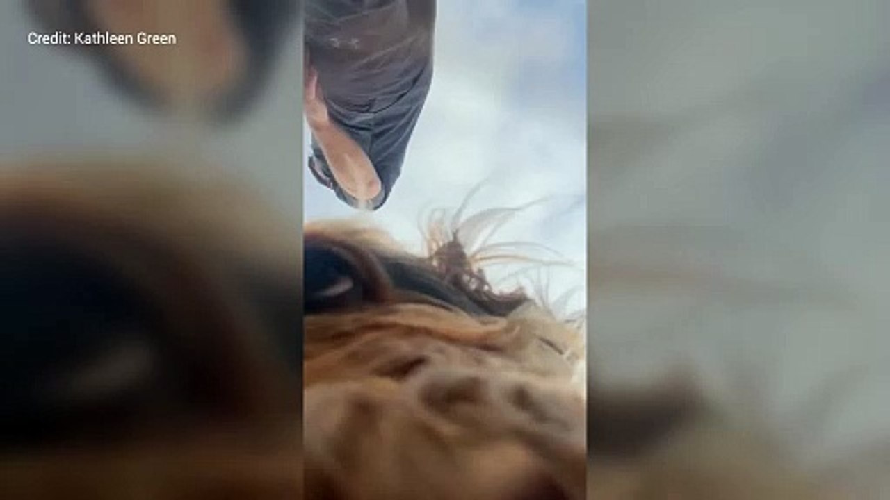 Emotional reunion between missing dog and owners