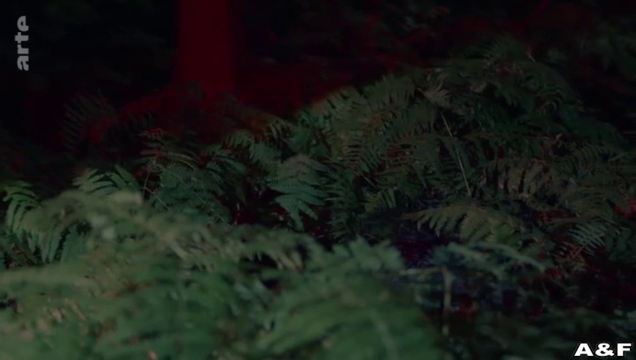 In Wahrheit -05- In einem anderen Leben