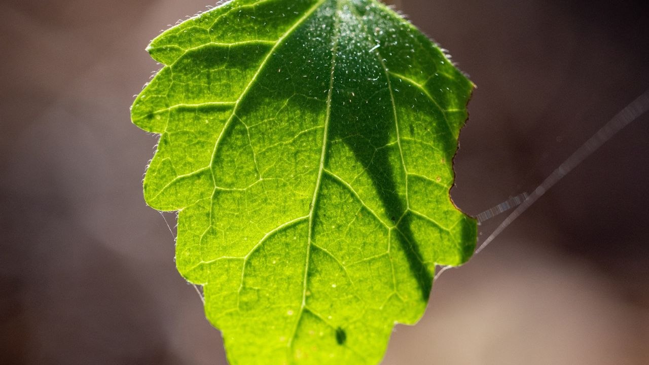 How hard is it for Americans to live sustainably?