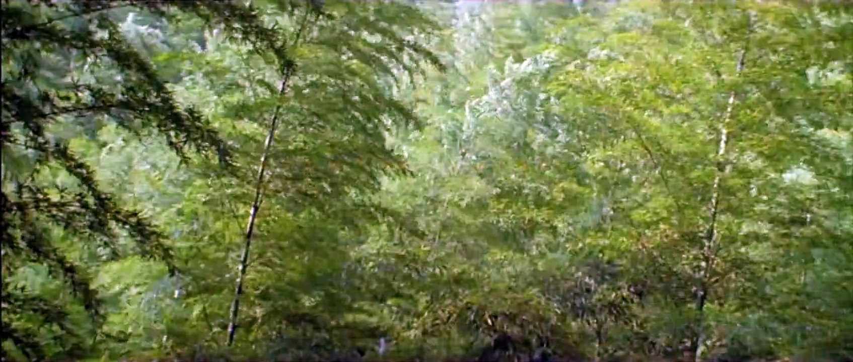 Crouching Tiger, Hidden Dragon - Trailer