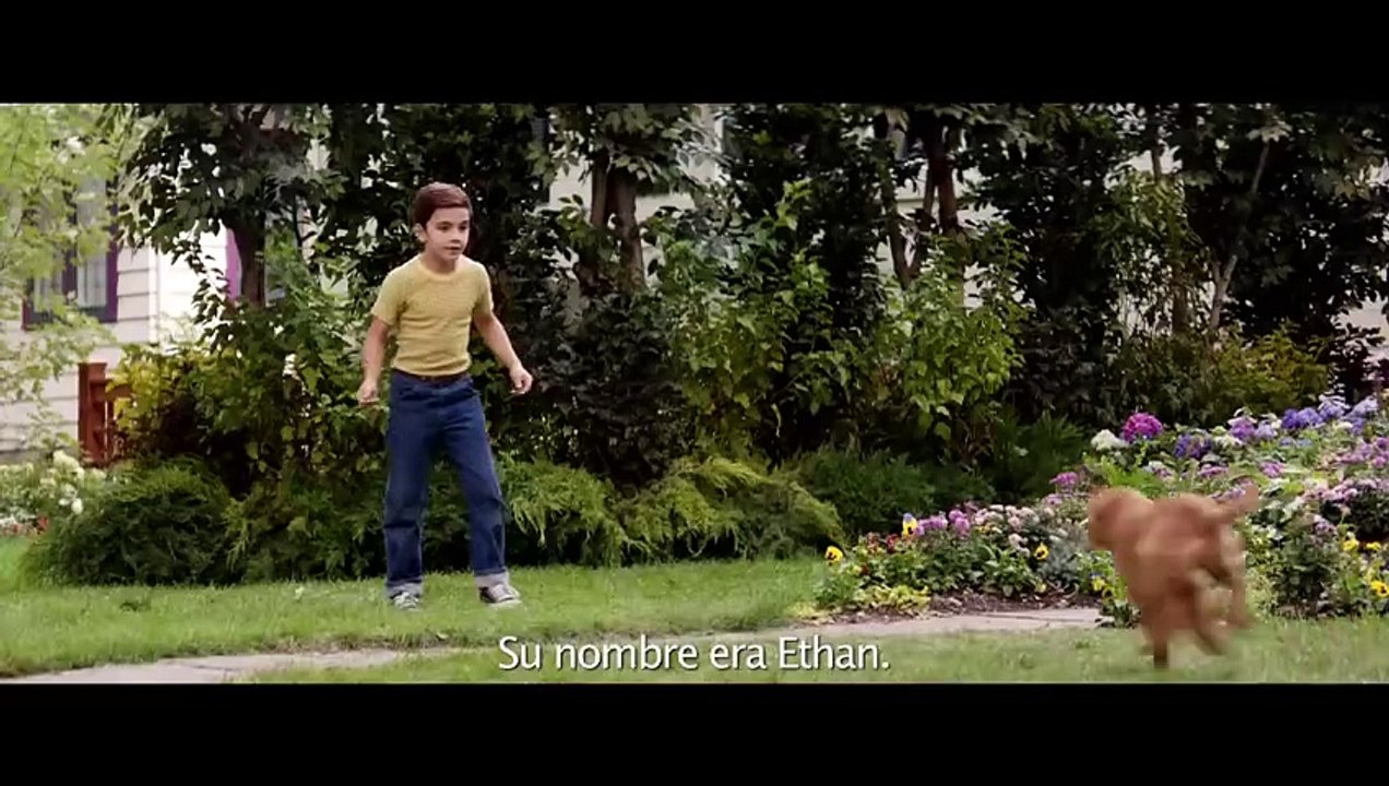 La Razón de Estar Contigo - Trailer Oficial Subtitulado al Español