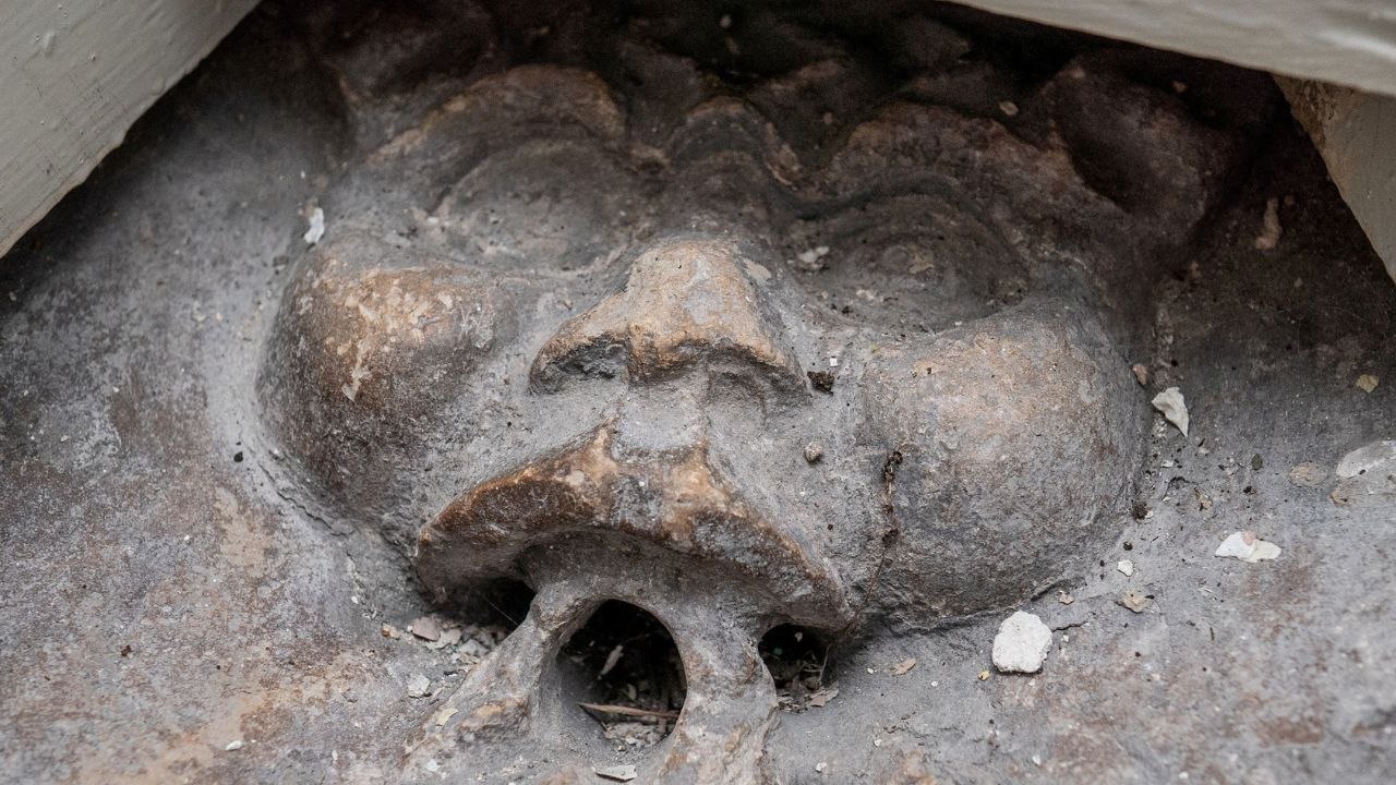 Spooked couple find medieval gargoyle imp above their loo