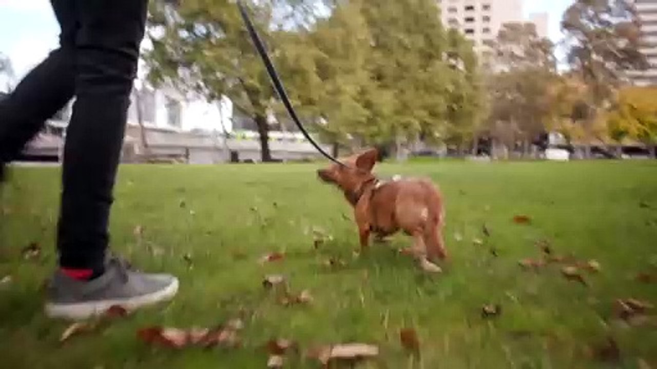 AMA finds planned surgery wait times longest on record