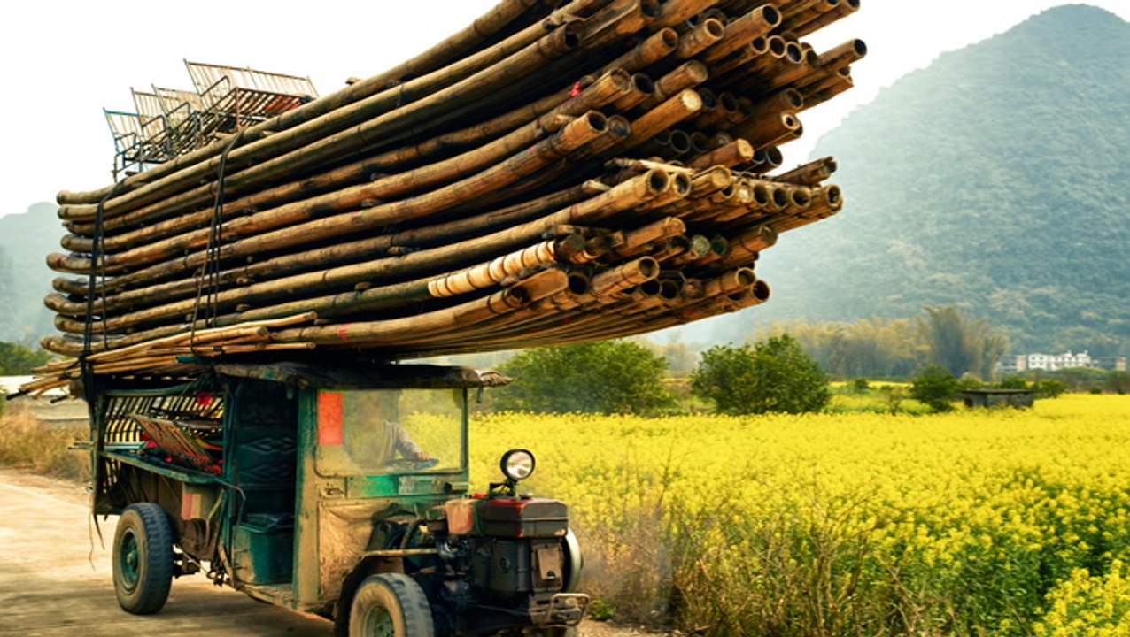 Can bamboo replace paper and plastic? And should it?