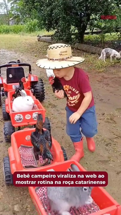 “Bebê campeiro” viraliza na web ao mostrar rotina na roça catarinense