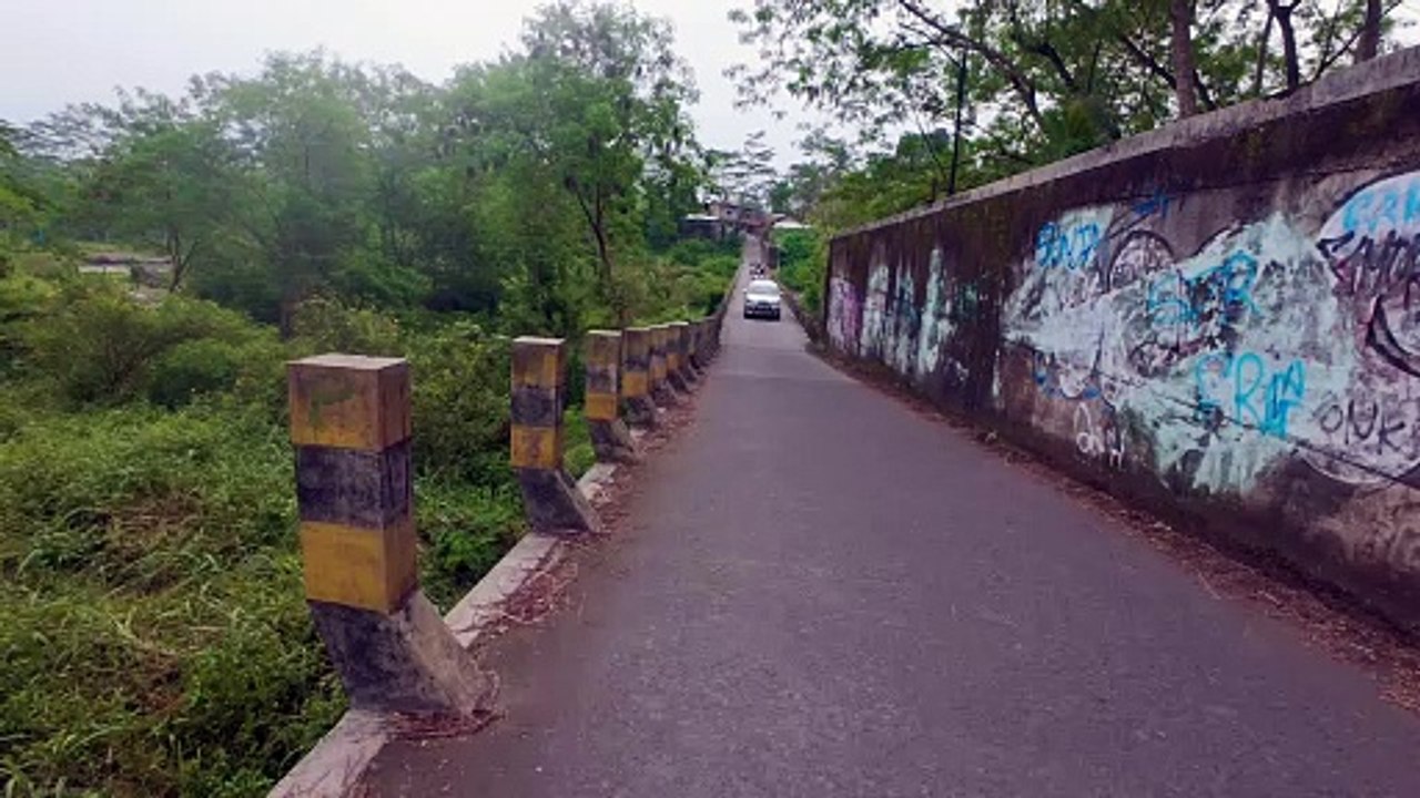 Cinematic Nature Scenes 🌿