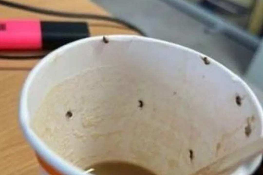 "قهوة بالحشرات" كادت تفقد شابة حياتها