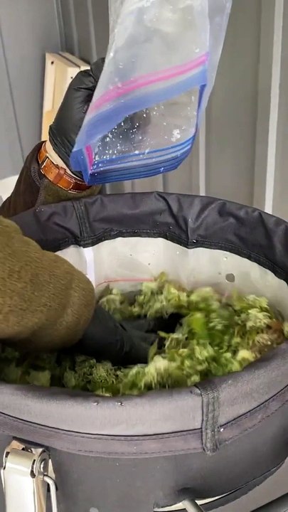 Bubble Hash | Find Out the Automatic Bubble Hash Washer