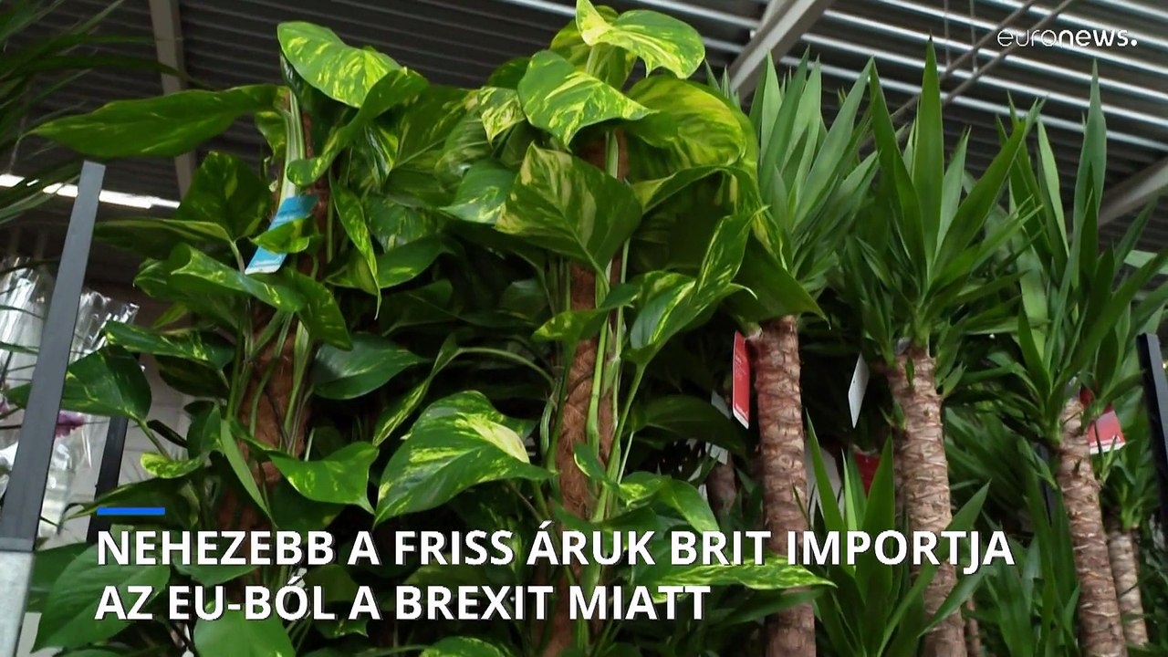 Szigorodott a friss európai áruk brit importügyintézése