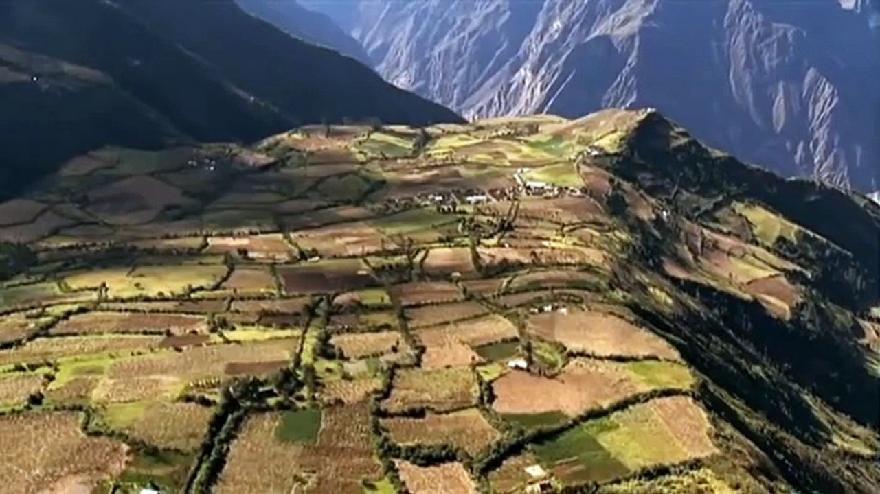 Documental: La Historia del Mundo - Supervivencia