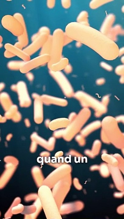 Inflammation et Santé mentale