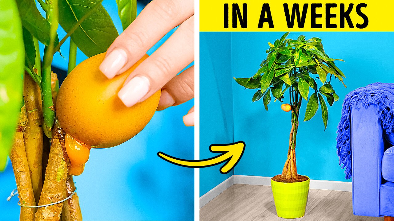Gardening Hacks: Useful Tips and Tricks for Plant Lovers 
