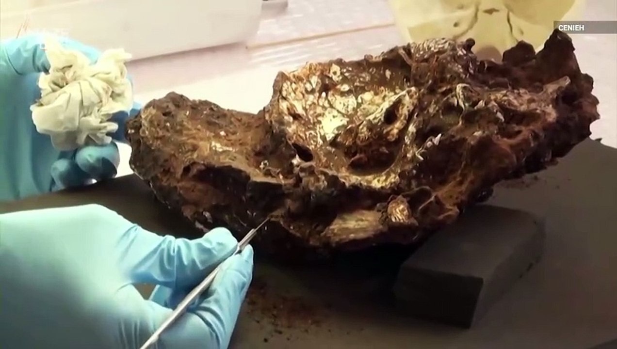 Could This Be The Oldest Known Human Burial Site?