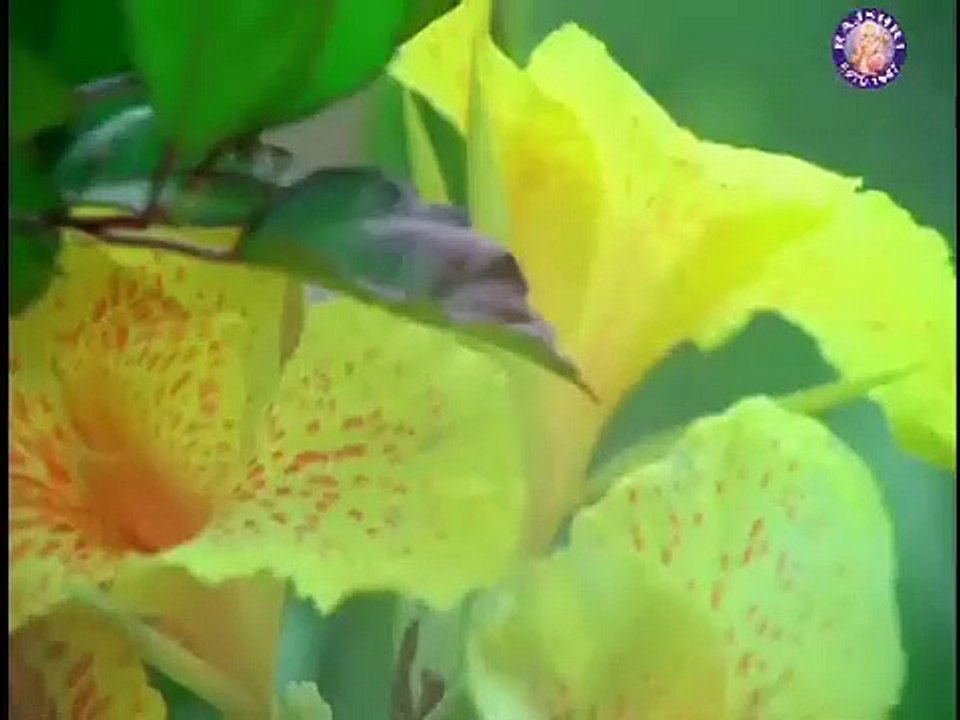 Main Tere Saath /Swati 1986/ Meenakshi Sheshadri ,Kavita Krishnamurthy, Manhar Udhas -