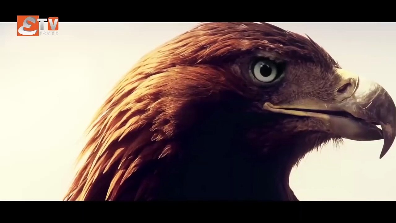 ALP Arsalan Season 1 Episode 50 Urdu Hindi Dubbed Etv facts