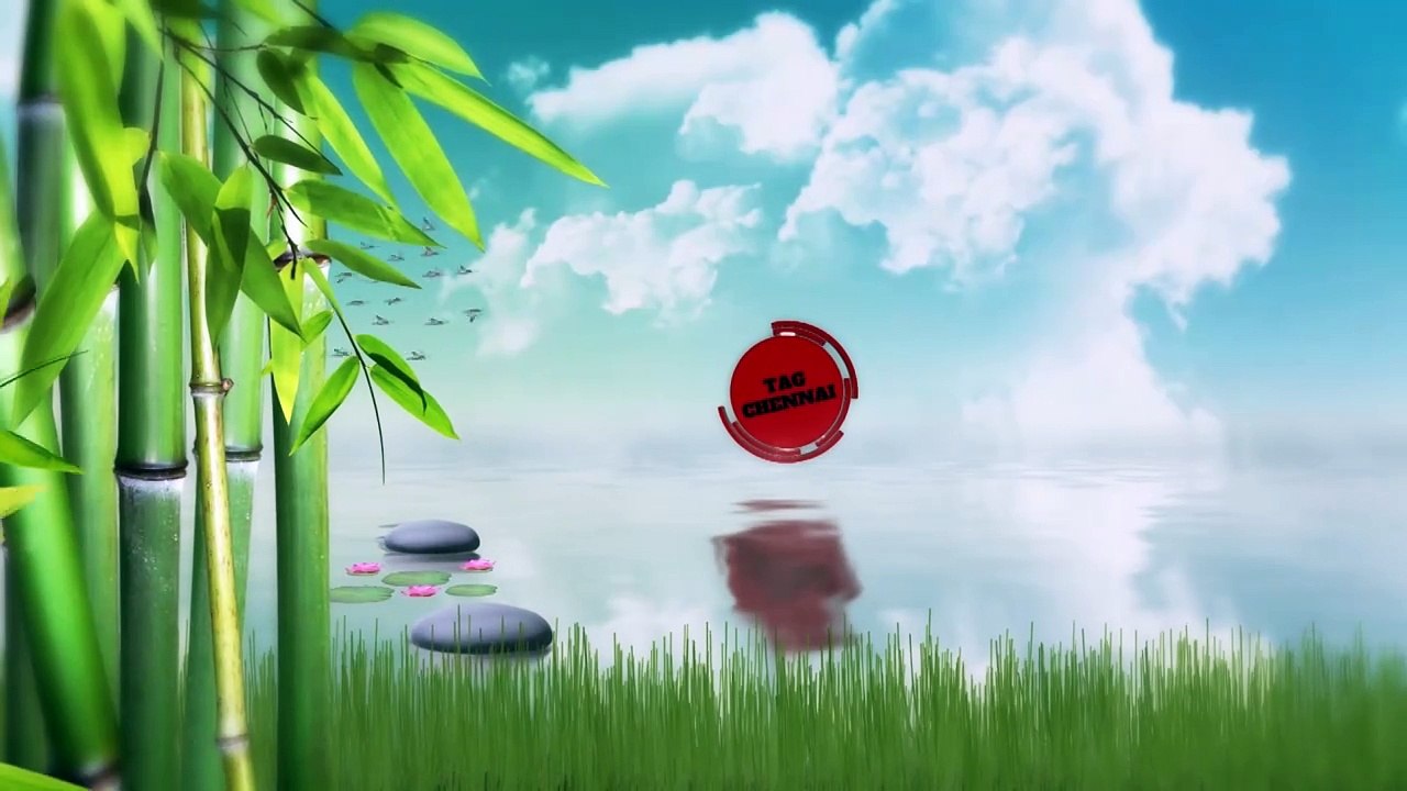 2 ஆண்டு காத்திருப்பு!! 28 வயதில் திருமணமாகாததால் தனுஷ் பட நடிகை மெஹ்ரீன் எடுத்த அதிரடி முடிவு..