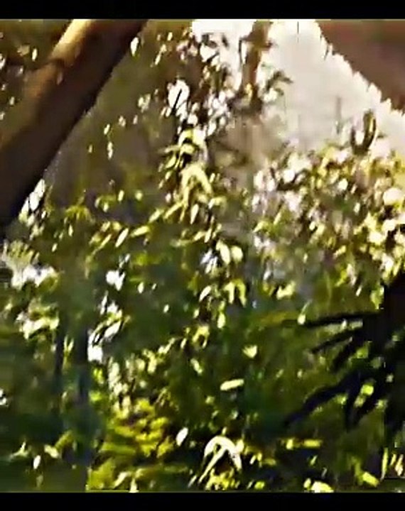 Hollywood movie best dangerous short scene