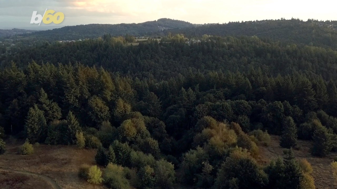 These Places Have The Cleanest Air In America