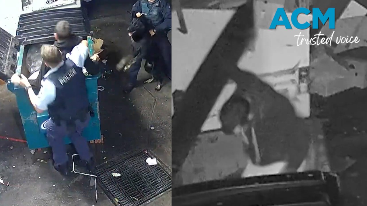 Dumpster dive: Alleged armed robber found in dumpster