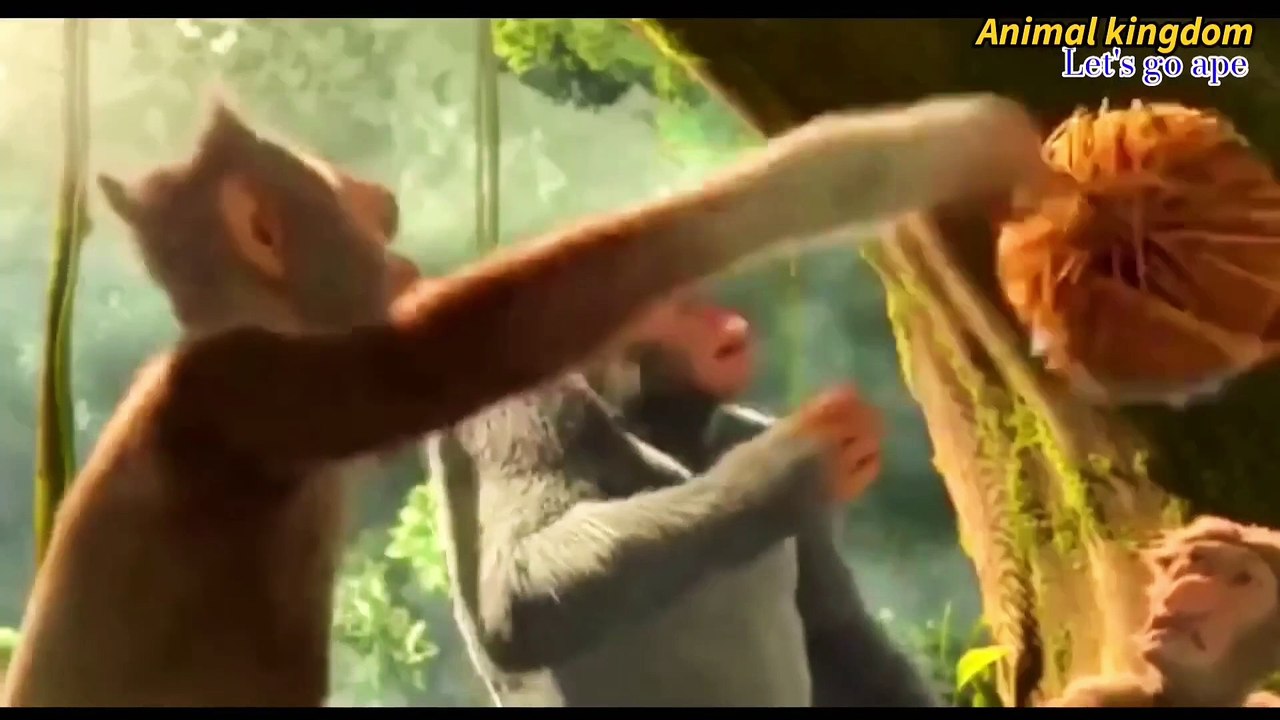 Animal Kingdom_ Let's Go Ape explanation in Hindi
