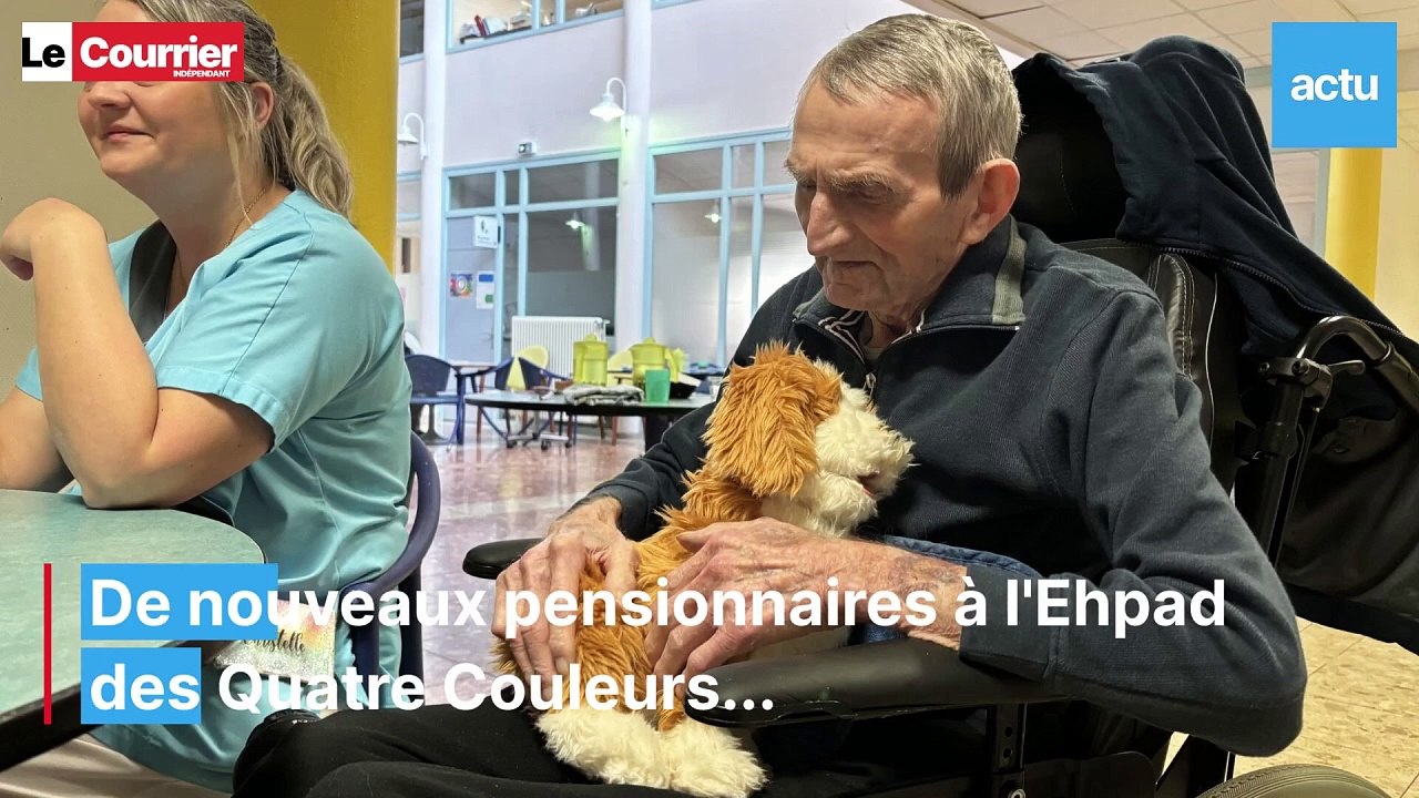 Des chiens robots et robots chats à l'Ehpad de Loudéac