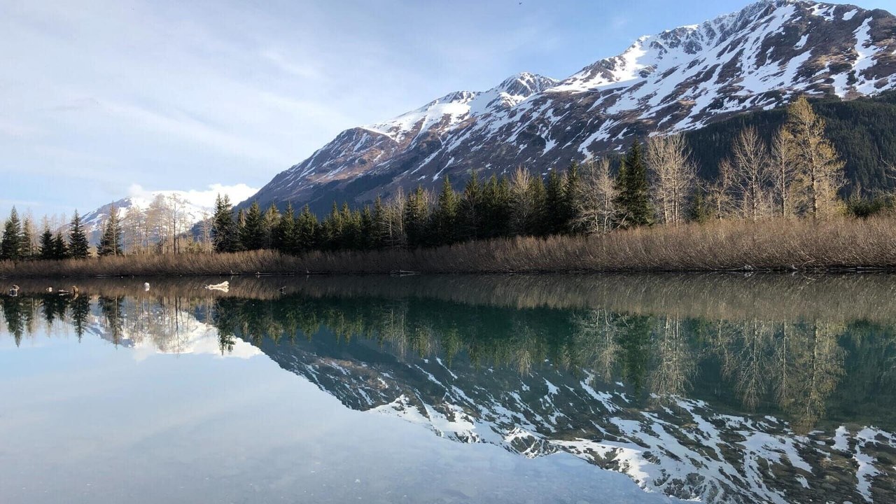 Les Brown : génération Alaska