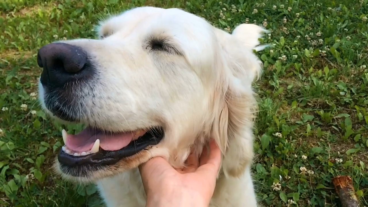 Charities struggle with keeping up with increased demand as running costs also rise